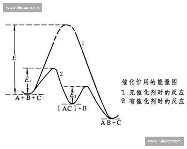 提升日常反应速度的科学方法与实用训练技巧全解析