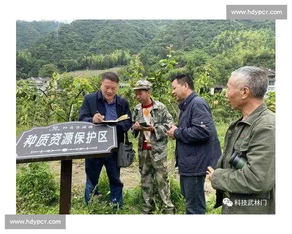体育团队协作与战术布局优化提升整体竞技表现的策略研究