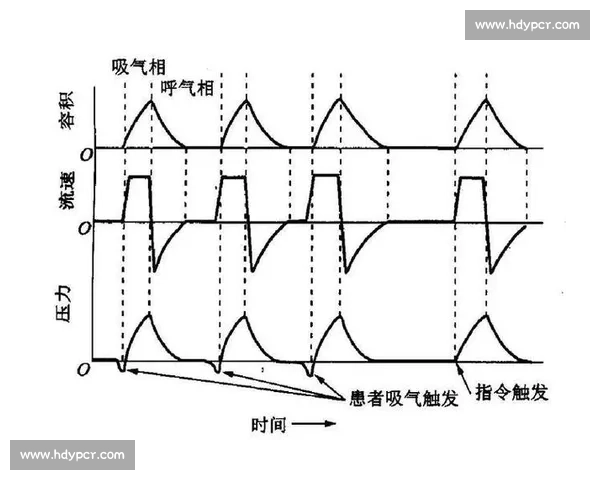 高效训练方法全面解析助力快速提升运动与学习效果 高效训练方法全面解析助力快速提升运动与学习效果
